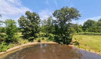 County Road 113, Alton, MO 65606