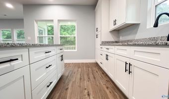 476 NE 2nd St, Arab, AL 35016