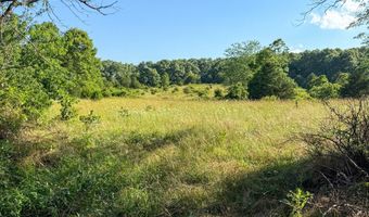 Co Rd 539, Ava, MO 65629