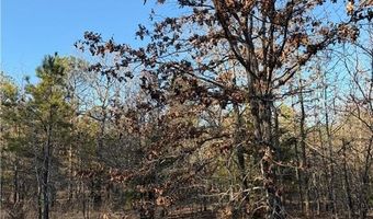 TBD Rural Atoka, Atoka, OK 74525