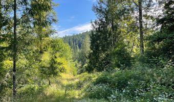 Bogynski RD, Oregon City, OR 97045