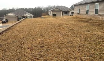 11 Erwin Dr, Austin, AR 72007