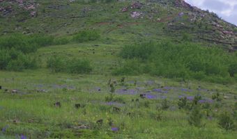 14884 Rist Canyon Rd, Bellvue, CO 80512