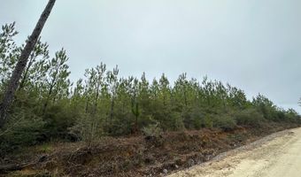 Tract # 6418 N Mattox Springs Road N1, Caryville, FL 32427