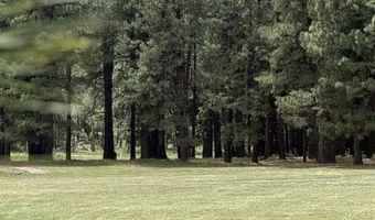 58 County Road N2122, Alpine, AZ 85920
