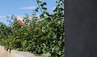 277 N 1100 W, Blackfoot, ID 83221