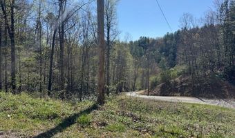 000 Holland Farm Rd, Andrews, NC 28901