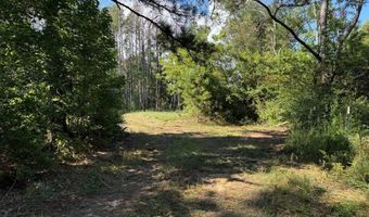 SW Auburn Drive, Bogue Chitto, MS 39629