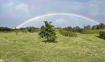 54-1749 PAIPO KANE Rd, Kapaau, HI 96755