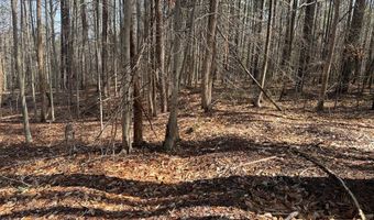 Parsons Road, Ashland, VA 23015