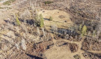91747 BLUE RIVER RESERVOIR Rd, Blue River, OR 97413