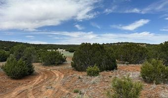 50 County Road 3048, Concho, AZ 85924