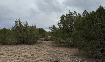 55 Ponderosa Dr, Concho, AZ 85924