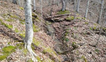 3 Flat Creek Rd, Alkol, WV 25501