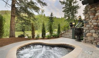 20 Elk Track Ct, Beaver Creek, CO 81620