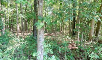 Setty Rd, Albany, OH 45710
