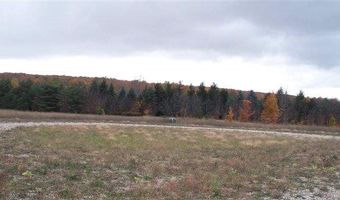8842 CHICKADEE LOT 12, Alanson, MI 49706