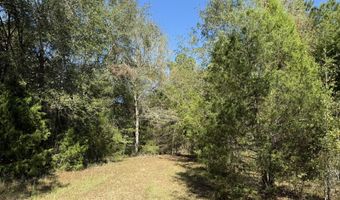 005 G Wallace Buie Rd, Ashford, AL 36376