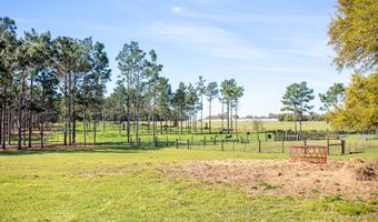 192 Breedlove Rd, Bainbridge, GA 39817