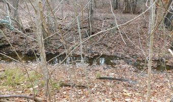 290 Angels Pass Dr Lot 1, Bastian, VA 24314