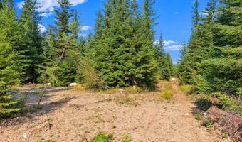 L13B1 Leonard Loop, Athol, ID 83801