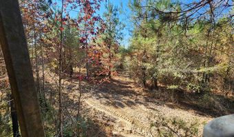0 County Road 127, Banks, AL 36005
