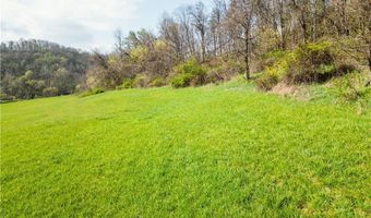 E Captina Highway Road, Alledonia, OH 43902