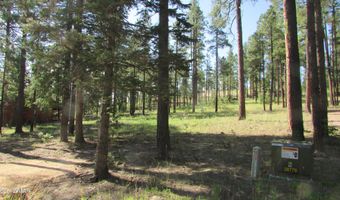 8 County Road 2194, Alpine, AZ 85920