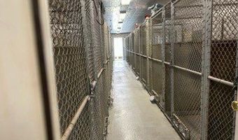 202 Crane Hollow Rd, Bethlehem, CT 06751