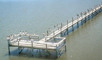 127 Harbor Cir, Alligator Point, FL 32346