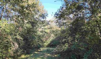 0 Cowpen Creek Rd, Atmore, AL 36502