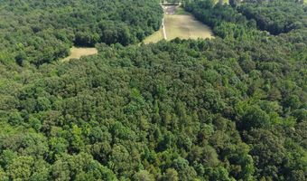 0000 Mifflin Rd, Beech Bluff, TN 38301