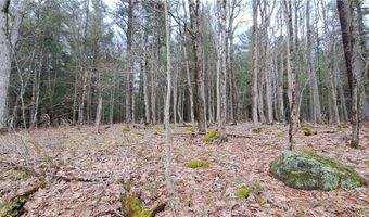 Sweet Point Rd, Alexandria Bay, NY 13607