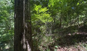 106 B Calico Ct, Alberta, AL 36720