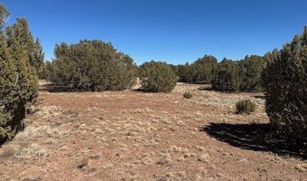 30 CR 8051 Rd, Concho, AZ 85924