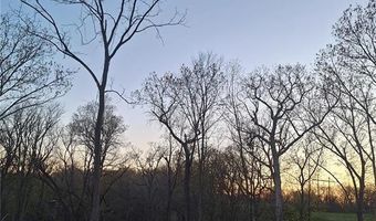 0 Iron Mountain Bluff-Wicks, Arnold, MO 63010