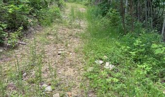 88 Acres Bolden Br, Andrews, NC 28901