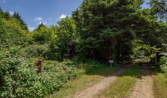 Shark Creek Ln, Arch Cape, OR 97102