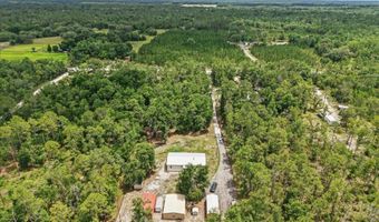 3210 50th St, Bell, FL 32619