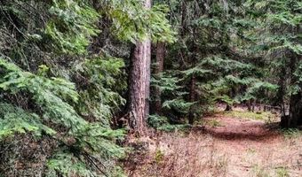 2221 CEDONIA ADDY Rd, Addy, WA 99101