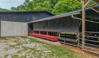 50 Hg Williams Dr, Bays, KY 41310