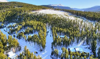 57 APEX Cir, Breckenridge, CO 80424