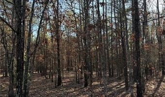 Tract 4 Rural Atoka, Atoka, OK 74525