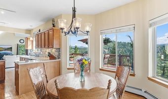 163 Old Corral Rd, Bailey, CO 80421