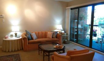 6711 PARK HEIGHTS Ave #309, Baltimore, MD 21215