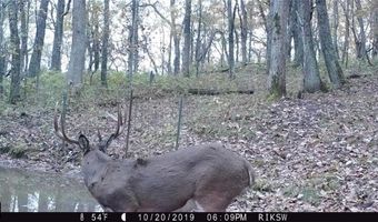 Simons Rd, Alma, WI 54610