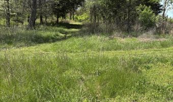 7011 County Road 429, Ava, MO 65608