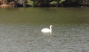 Lot 16 Fly Rod Trail, Wisconsin Rapids, WI 54494