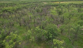 FM 600, Anson, TX 79501