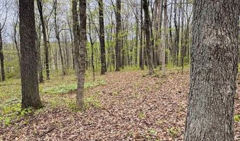 Tract 4 E Pine Road Common, Bloomfield, IN 47424